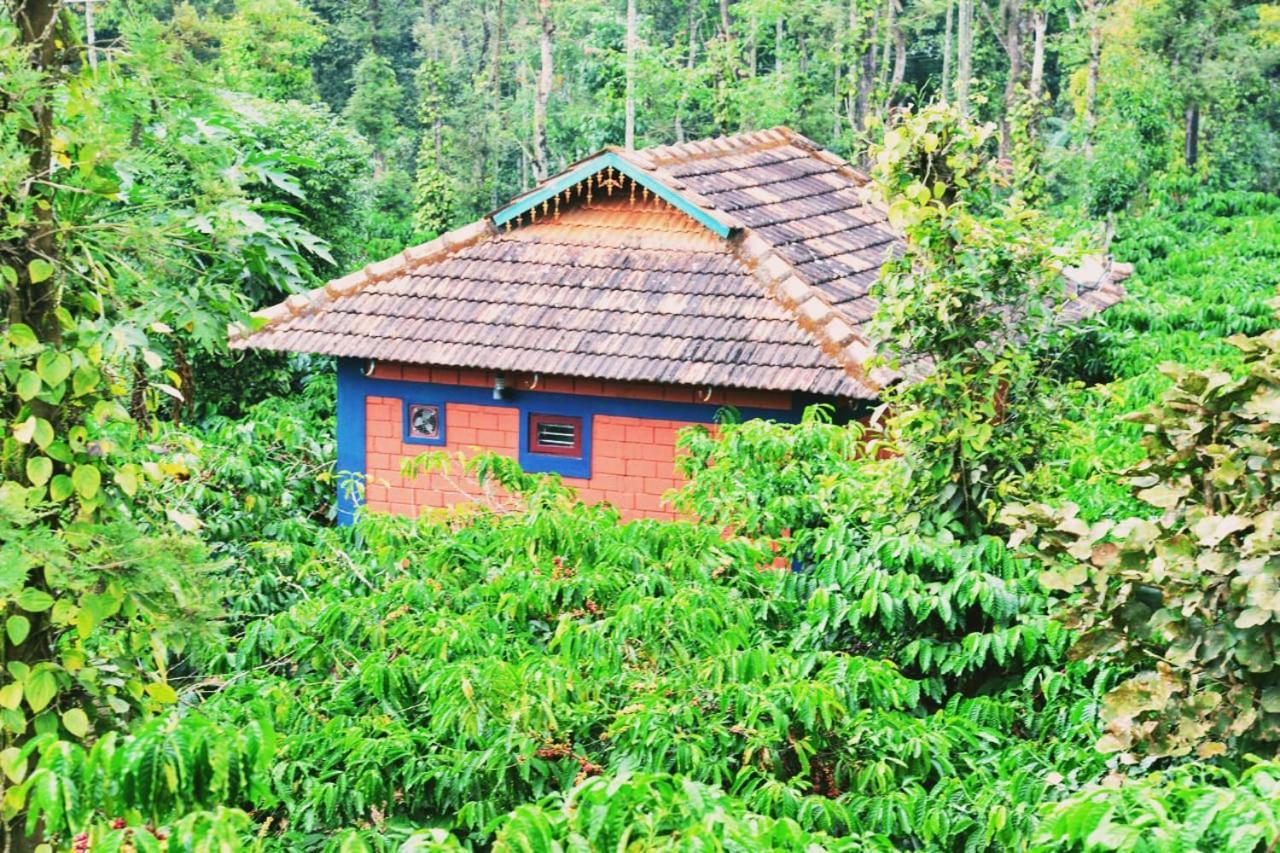Agastya Lake View Coorg 마디케리 외부 사진