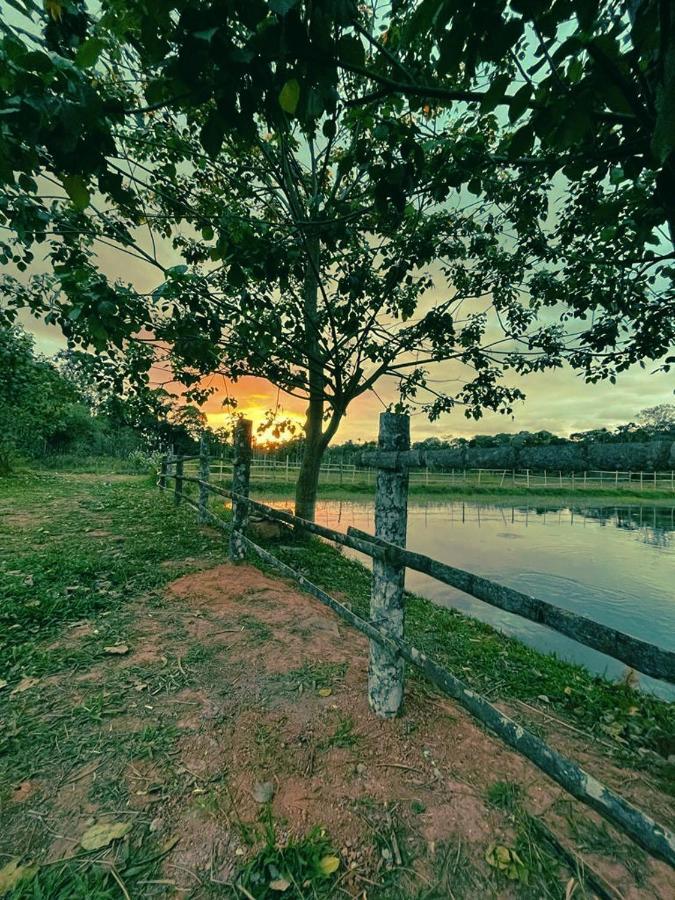 Agastya Lake View Coorg 마디케리 외부 사진