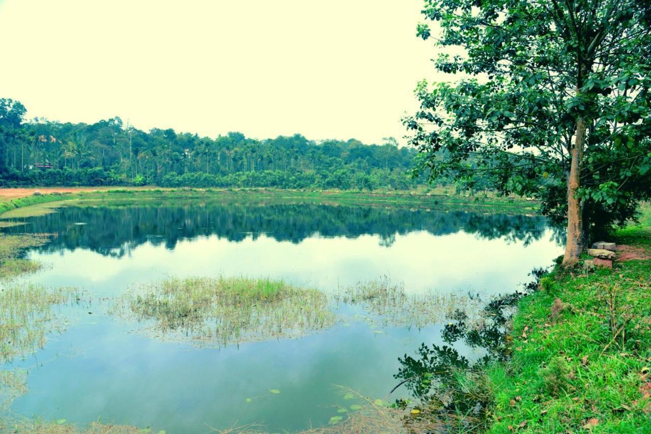 Agastya Lake View Coorg 마디케리 외부 사진